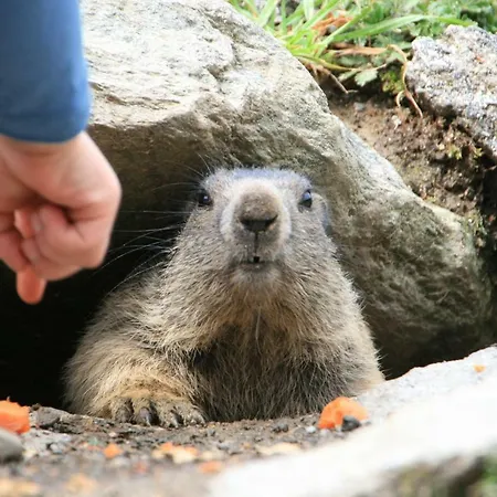 Loft7 아파트 미텔베르그